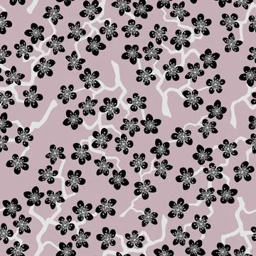 Seamless pattern with blossoming Japanese cherry sakura.Black flowers on cofe Stock Illustration