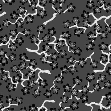 Seamless pattern with blossoming Japanese cherry sakura.Black flowers on dim  Illustrazione stock