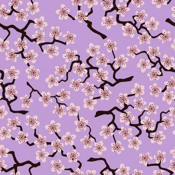 Seamless pattern with blossoming Japanese cherry sakura.Pink flowers on laven Stock Illustration