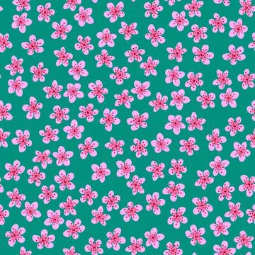 Seamless pattern with blossoming Japanese cherry sakura for fabric, packaging Stock Illustration