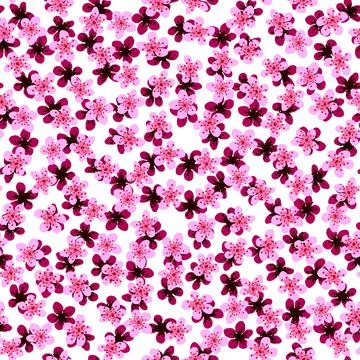 Seamless pattern with blossoming Japanese cherry sakura for fabric,packaging, Stock Illustration