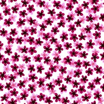 Seamless pattern with blossoming Japanese cherry sakura for fabric,packaging, Illustrazione stock
