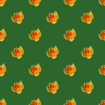Seamless Pattern of Blossoming Orange Rose on Forest Green Colored Background 库存照片