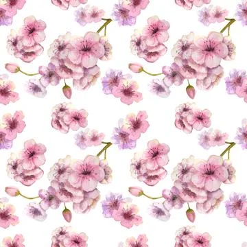 Seamless pattern with blossoming sakura branches on a white background Stock Illustration