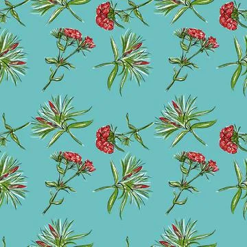 Seamless pattern. On a blue background, orange carnation flowers. Stock Illustration