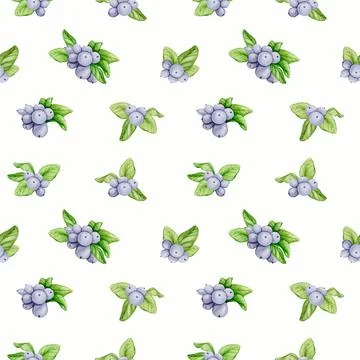 Seamless pattern with blue berries on a white background. Hand watercolor. Stock Illustration