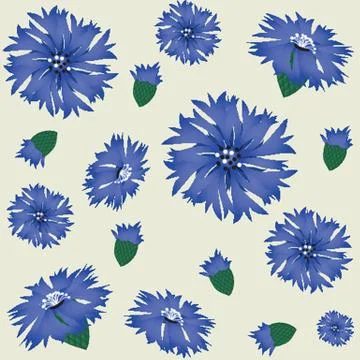 Seamless pattern with blue cornflower Stock-Illustration