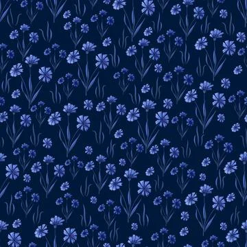 Seamless pattern of blue cornflowers on dark blue Illustrazione stock