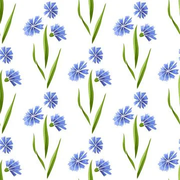 Seamless pattern with blue cornflowers on white Stock-Illustration