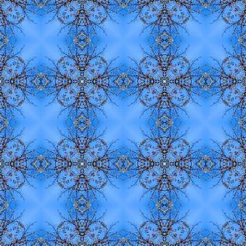 Seamless pattern with blue floral ornament Stock Illustration