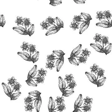 Seamless pattern blue forget me not sketch hand drawn イラスト素材