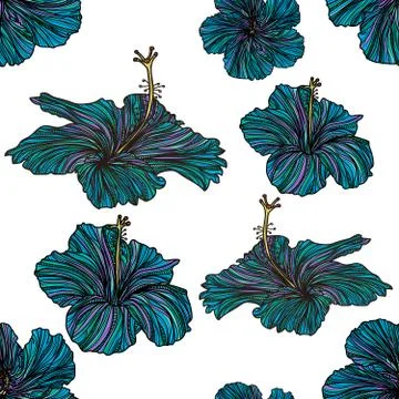 Seamless pattern with blue hibiscus flowers. Stock Illustration