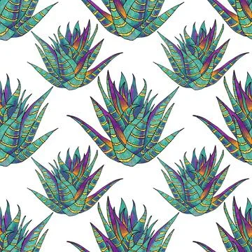 Seamless pattern blue leaves succulent echeveria home plant on white background Stock Illustration