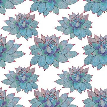Seamless pattern blue leaves succulent echeveria home plant isolated on white Stock Illustration