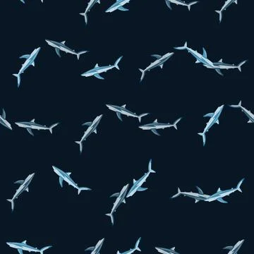 Seamless pattern Blue shark on black background. Texture of marine fish for a イラスト素材