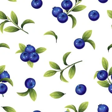 Seamless pattern of blueberries. Texture of blue berries and leaves. Bluebe.. Stock Illustration