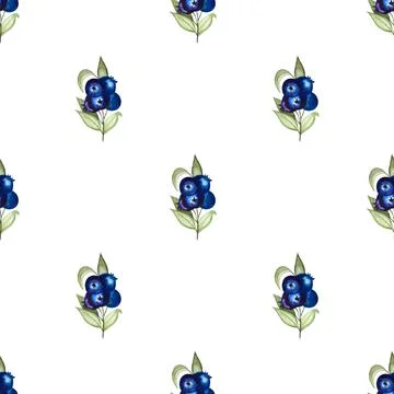 Seamless pattern of blueberries watercolor hand painted elements on white Stock Illustration