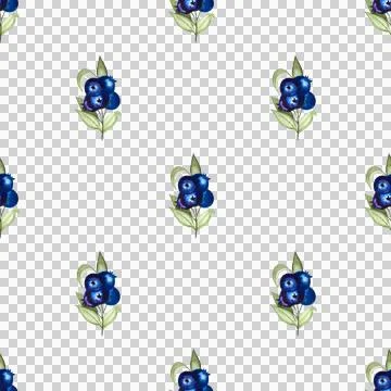 Seamless pattern of blueberries watercolor hand painted elements on white Stock Illustration