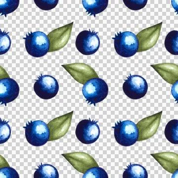 Seamless pattern of blueberries watercolor hand painted elements on white Stock Illustration