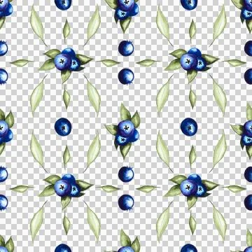 Seamless pattern of blueberries watercolor hand painted elements on white Stock Illustration