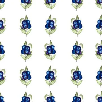 Seamless pattern of blueberries watercolor hand painted elements on white Illustrazione stock