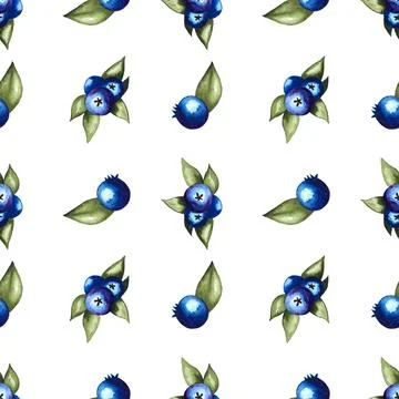 Seamless pattern of blueberries watercolor hand painted elements on white Illustrazione stock