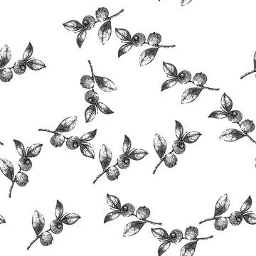 Seamless pattern blueberry blue fresh sketch hand drawn Stock Illustration