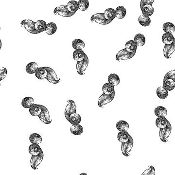 Seamless pattern blueberry blue organic sketch hand drawn イラスト素材