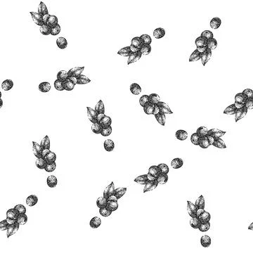 Seamless pattern blueberry blue pile sketch hand drawn 스톡 일러스트