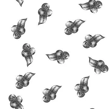 Seamless pattern blueberry blue wild sketch hand drawn Stock Illustration
