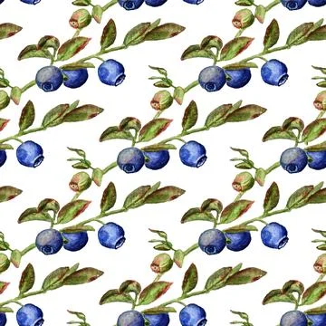 Seamless pattern with blueberry Stock Illustration