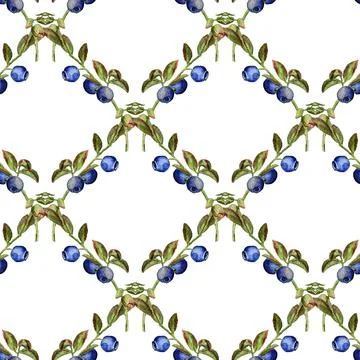 Seamless pattern with  blueberry Stock Illustration