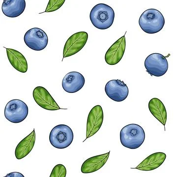 Seamless pattern blueberry with leaves contour on white background, symbol .. Stock Illustration
