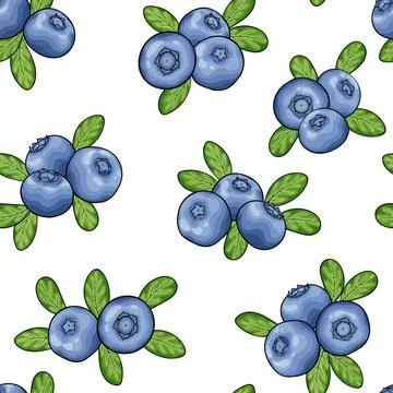 Seamless pattern blueberry with leaves contour on white background, symbol .. Illustrazione stock