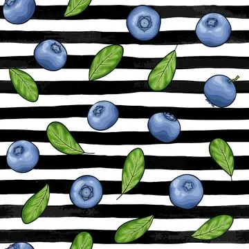 Seamless pattern blueberry with leaves contour on black and white watercolo.. Stock Illustration