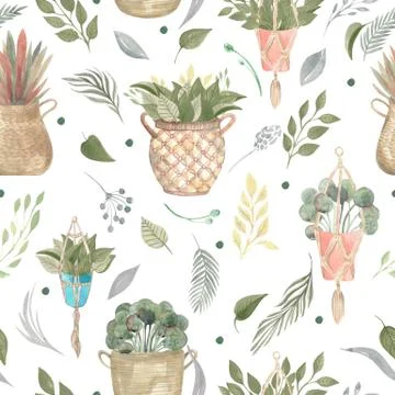 Seamless pattern of boho plants and indoor flowers in baskets and hanging pot Stock Illustration