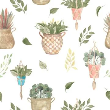Seamless pattern of boho plants and indoor flowers in baskets and hanging pots Stock Illustration