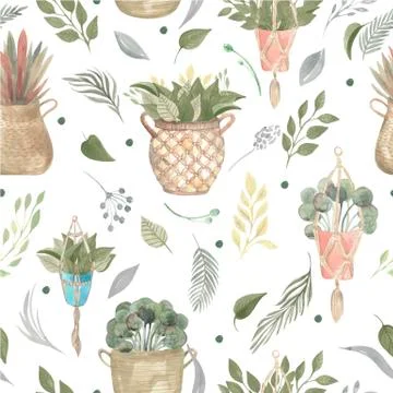 Seamless pattern of boho plants and indoor flowers in baskets and hanging pots Stock Illustration