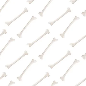 Seamless pattern  bone on white background. Illustrazione stock