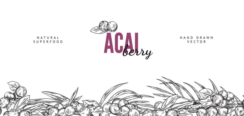 Seamless pattern border with Acai berries and leaves, fresh black berries with Stock Illustration