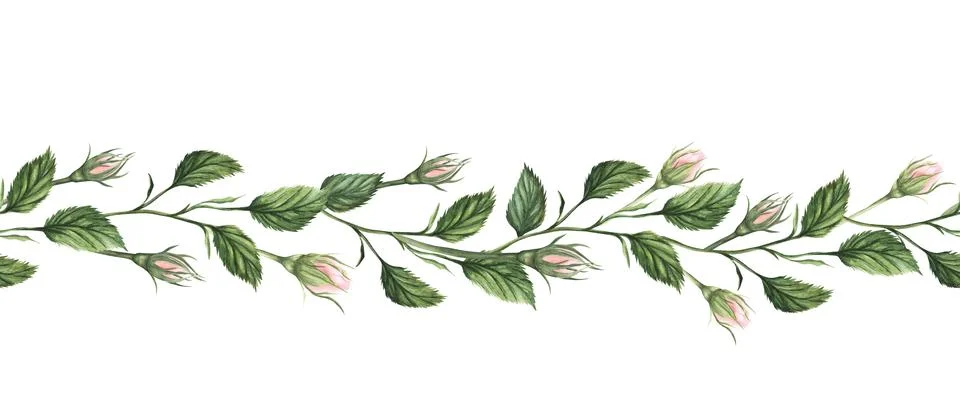 Seamless pattern border with pink flowers, leaves, vintage watercolor floral Stock Illustration