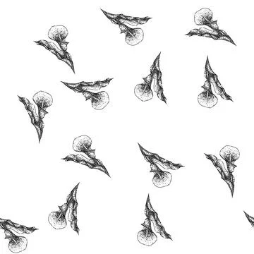 Seamless pattern botanical calla lily sketch hand drawn 스톡 일러스트