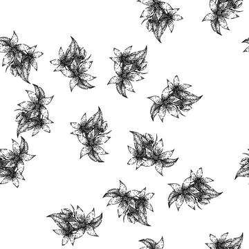 Seamless pattern botanical jasmine sketch hand drawn Stock Illustration