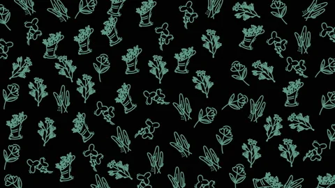 Seamless Pattern of Botanical Line Drawings on Dark Background Stock Footage 321640138