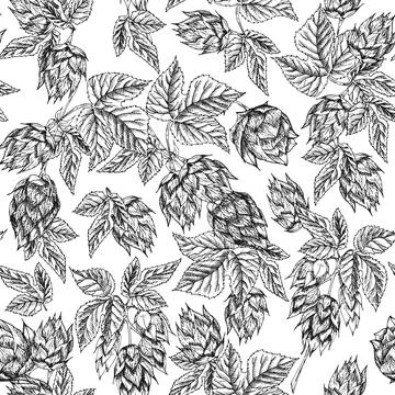 Seamless pattern of botany hand drawn sketch hop isolated on white background Stock Illustration