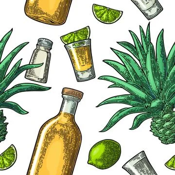 Seamless pattern of bottle, glass tequila, salt, cactus and lime Stock Illustration