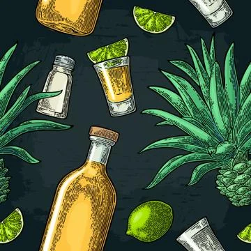 Seamless pattern of bottle, glass tequila, salt, cactus and lime Stock Illustration