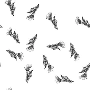 Seamless pattern bouquet calla lily sketch hand drawn Illustrazione stock