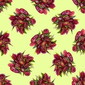 Seamless pattern of bouquets red tulips watercolor Stock Illustration