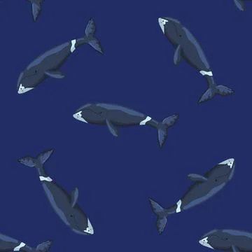 Seamless pattern Bowhead whale on dark background. Template of cartoon charac Stock Illustration